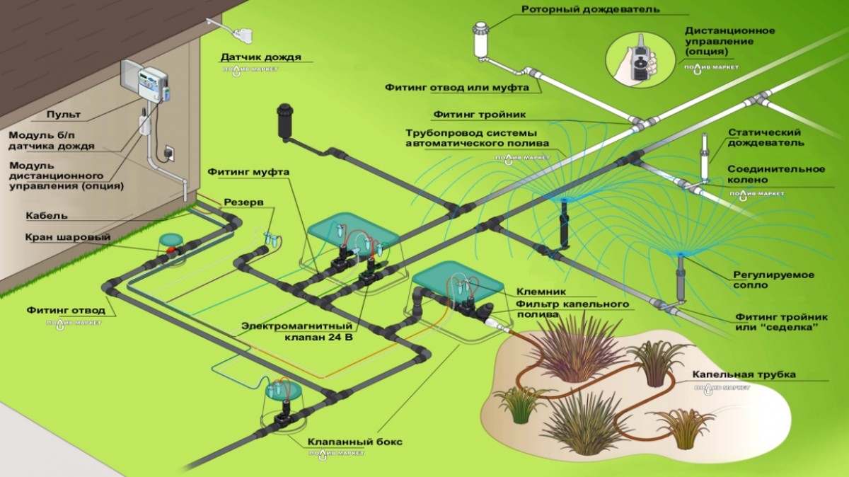 Как устроены и работают современные системы автоматического полива растений