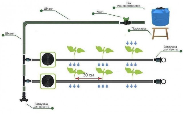 Что нужно знать о системе капельного полива